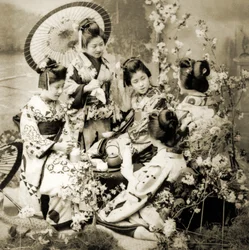 Among the Cherry Blossoms, ca. 1900 (albumfoto)